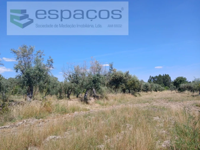 Quinta para Venda em Póvoa de Rio de Moinhos e Cafede Foto 23