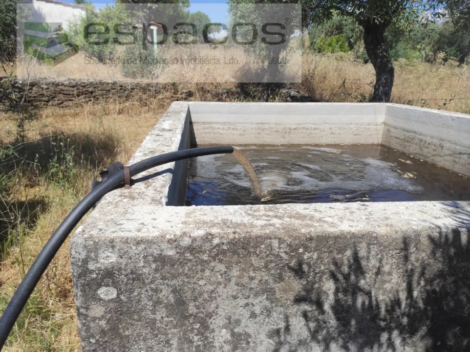 Quinta para Venda em Escalos de Baixo e Mata Foto 1