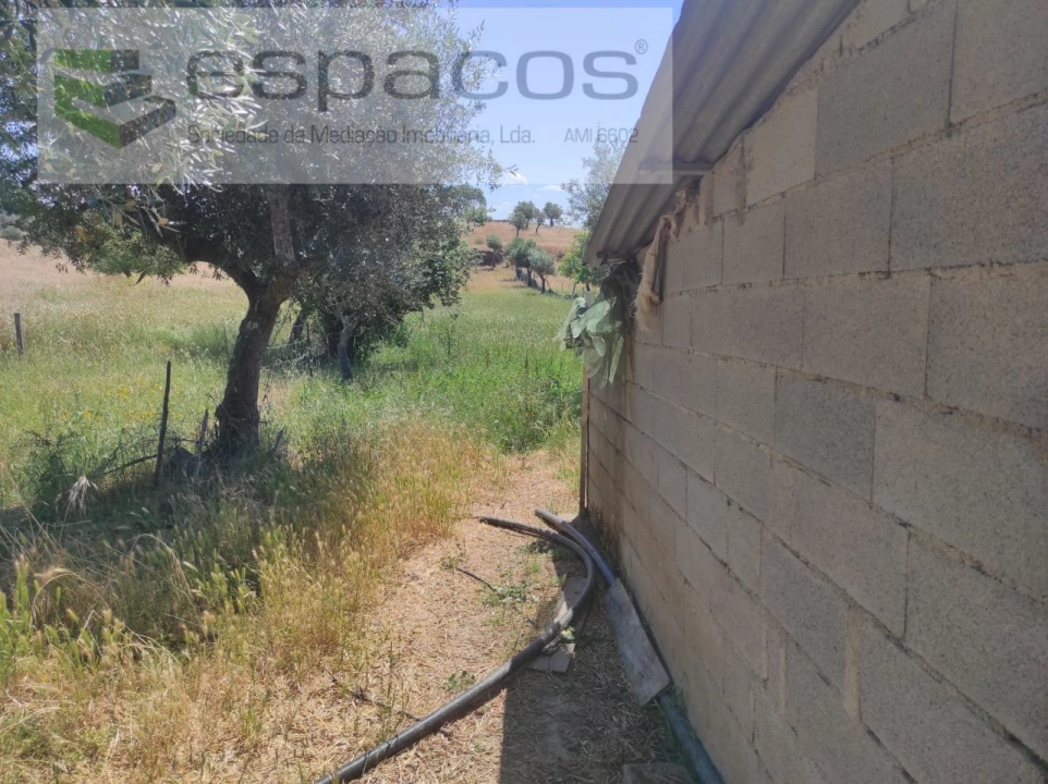 Quinta para Venda em Escalos de Baixo e Mata Foto 6