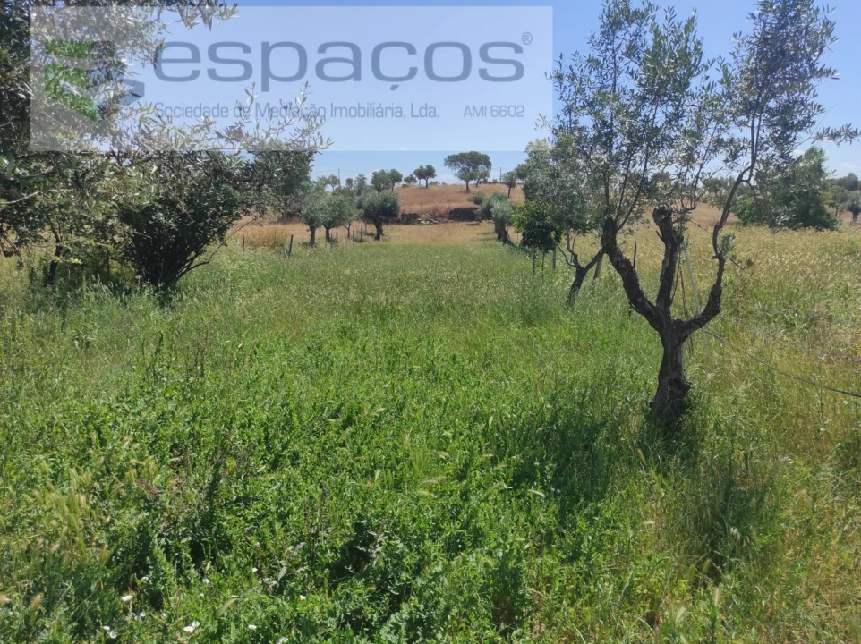 Quinta para Venda em Escalos de Baixo e Mata Foto 10