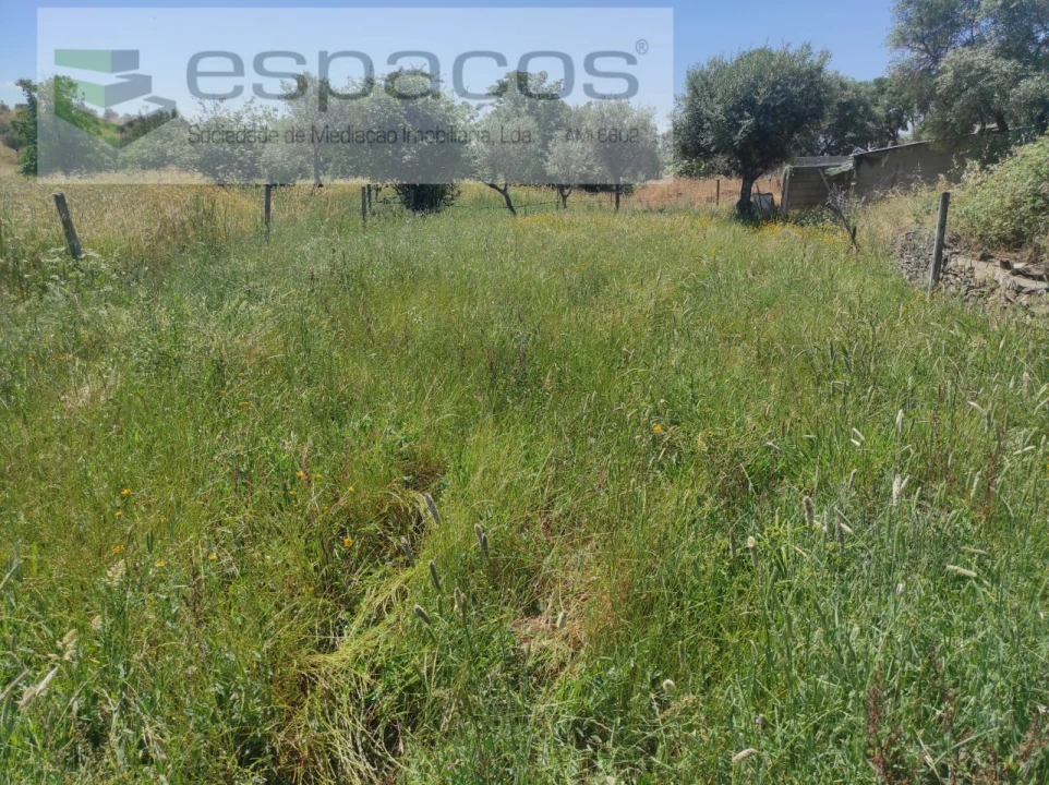 Quinta para Venda em Escalos de Baixo e Mata Foto 12