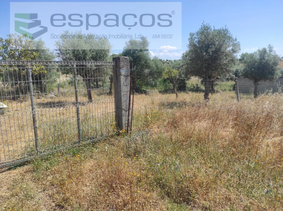 Quinta para Venda em Escalos de Baixo e Mata Foto 18