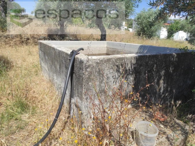 Quinta para Venda em Escalos de Baixo e Mata Foto 3