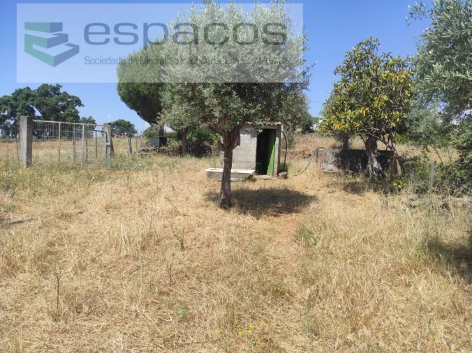 Quinta para Venda em Escalos de Baixo e Mata Foto 4