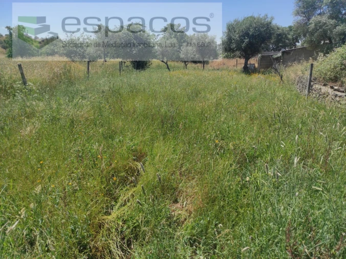 Quinta para Venda em Escalos de Baixo e Mata Foto 12