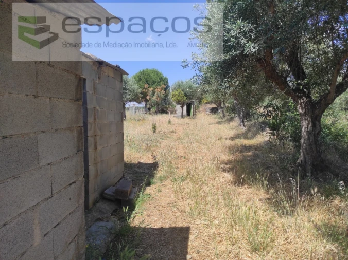 Quinta para Venda em Escalos de Baixo e Mata Foto 13