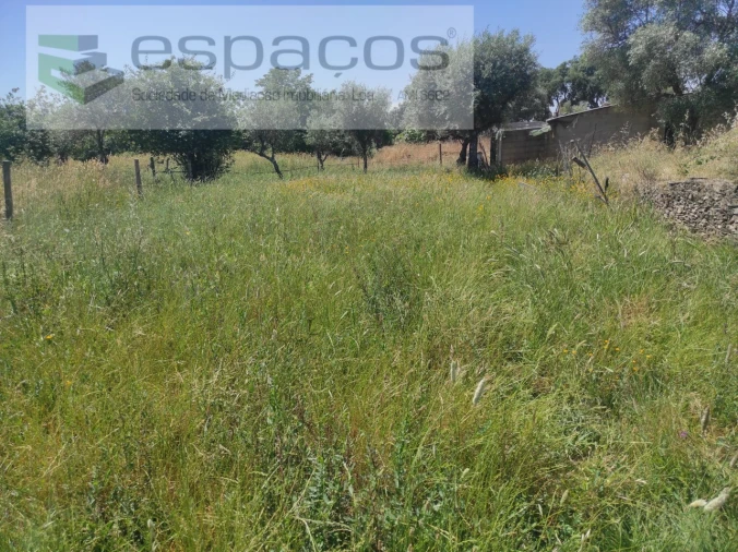 Quinta para Venda em Escalos de Baixo e Mata Foto 14