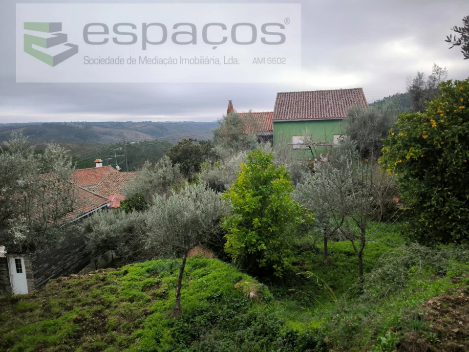 Moradia T3 para Venda em Sarzedas Foto 4