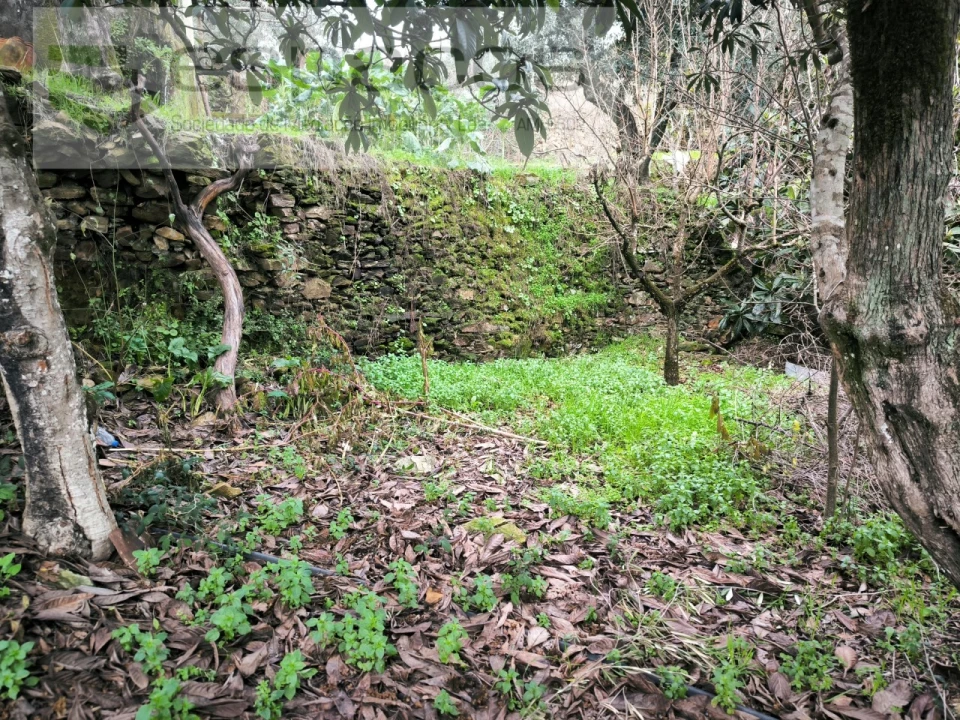 Moradia T3 para Venda em Sarzedas Foto 15