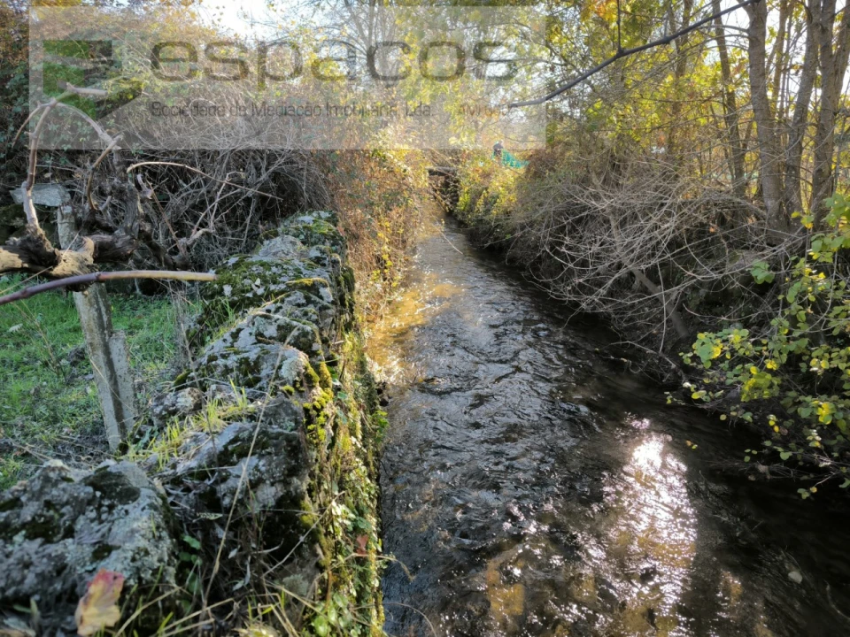 Quinta para Venda em Escalos de Baixo e Mata Foto 12