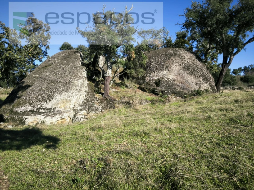 Quinta para Venda em Escalos de Baixo e Mata Foto 20
