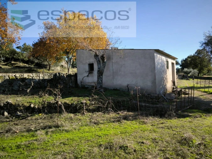 Quinta para Venda em Escalos de Baixo e Mata Foto 2