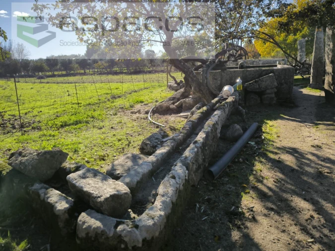 Quinta para Venda em Escalos de Baixo e Mata Foto 9