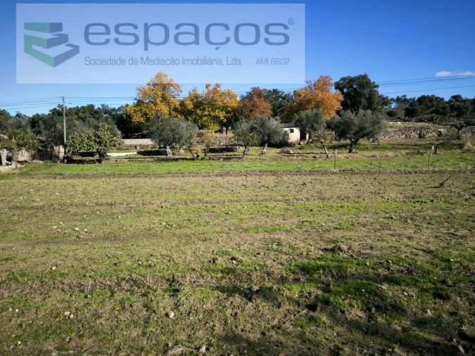 Quinta para Venda em Escalos de Baixo e Mata Foto 11