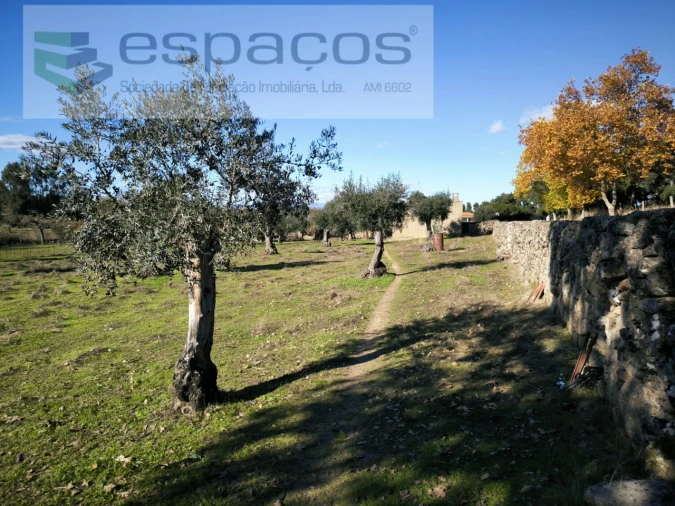 Quinta para Venda em Escalos de Baixo e Mata Foto 15