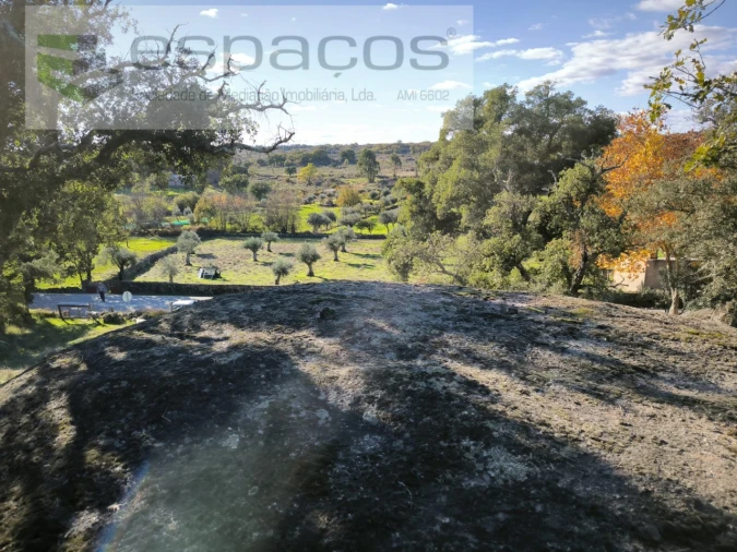 Quinta para Venda em Escalos de Baixo e Mata Foto 17