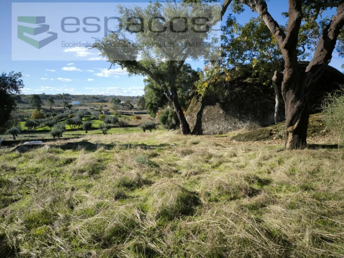 Quinta para Venda em Escalos de Baixo e Mata Foto 18