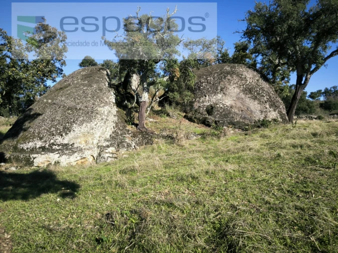 Quinta para Venda em Escalos de Baixo e Mata Foto 20