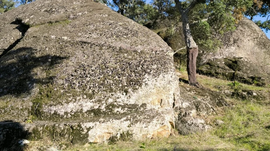 Quinta para Venda em Escalos de Baixo e Mata