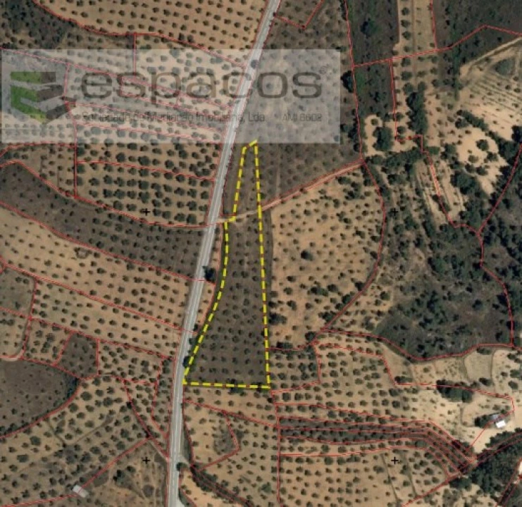 Terreno Agricola ou Rústico para Venda em Salgueiro do Campo Foto 7