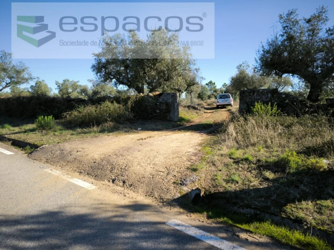 Terreno Agricola ou Rústico para Venda em Salgueiro do Campo Foto 6