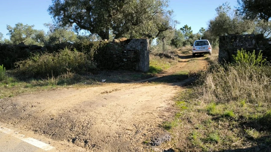 Terreno Agricola ou Rústico para Venda em Salgueiro do Campo