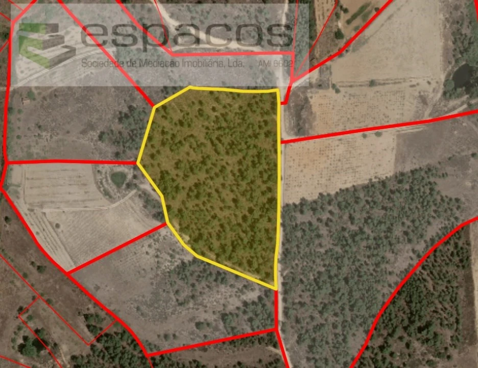 Terreno Agricola ou Rústico para Venda em Sarzedas Foto 9