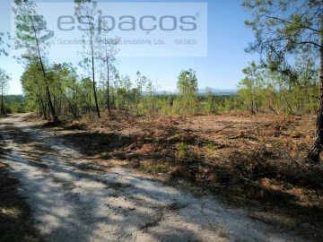 Terreno Agricola ou Rústico para Venda em Sarzedas