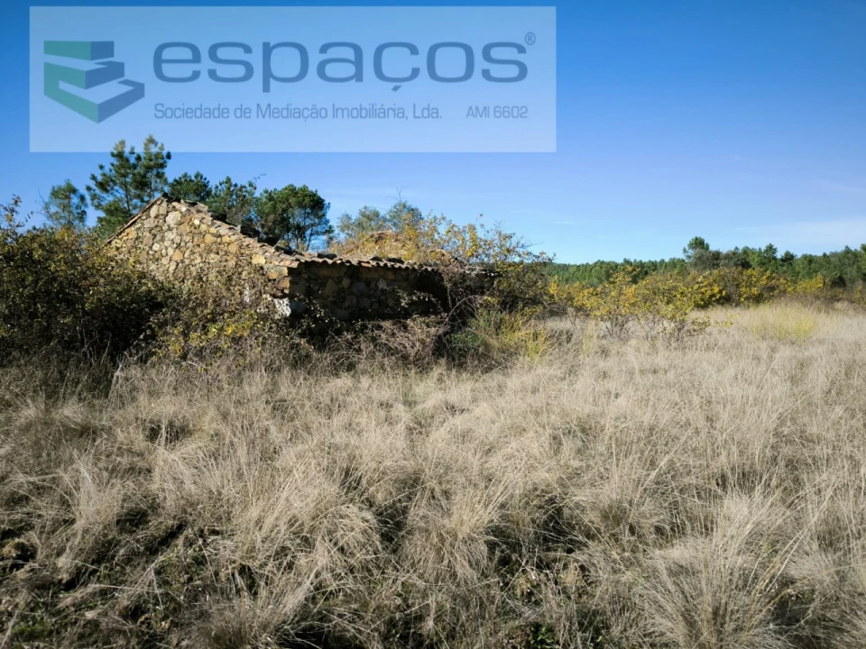 Quinta para Venda em Sarzedas Foto 1
