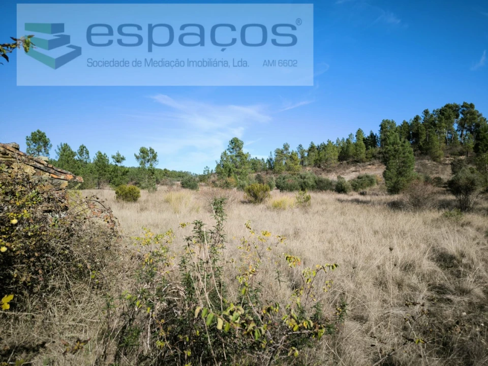 Quinta para Venda em Sarzedas Foto 3