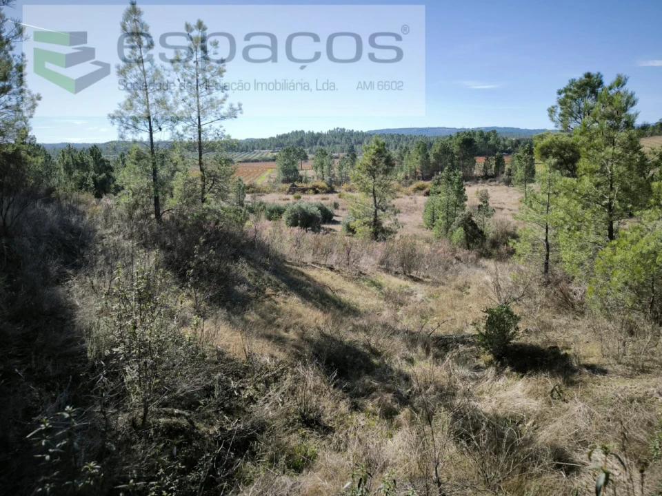 Quinta para Venda em Sarzedas Foto 7