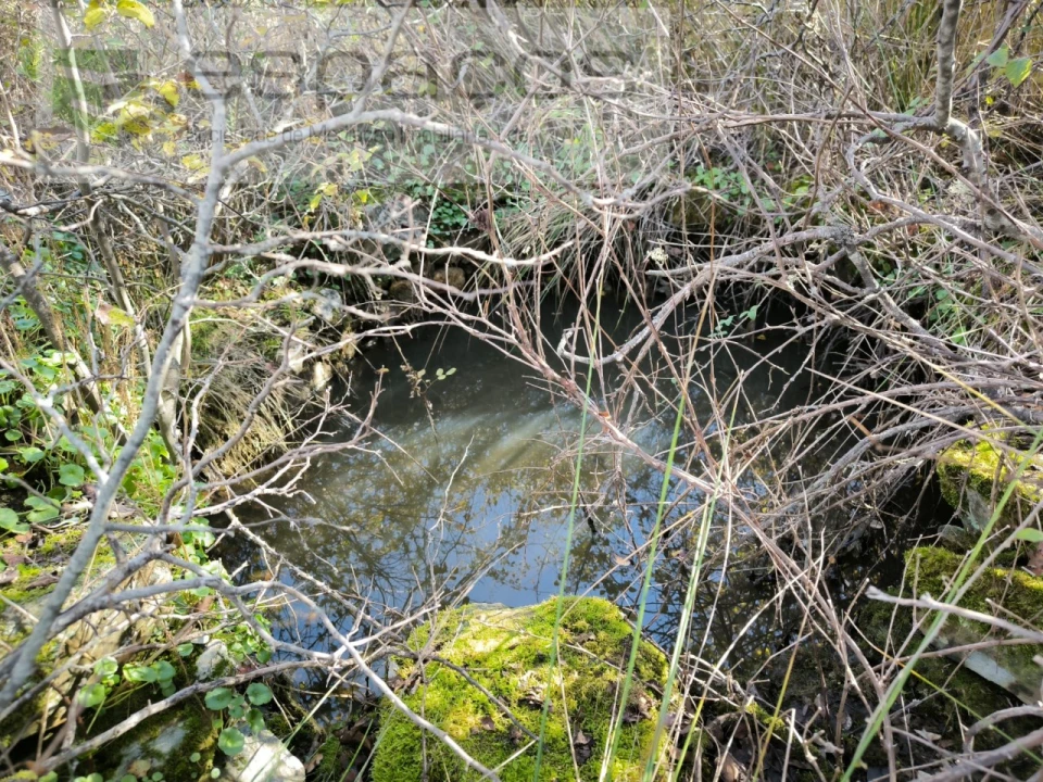 Quinta para Venda em Sarzedas Foto 9