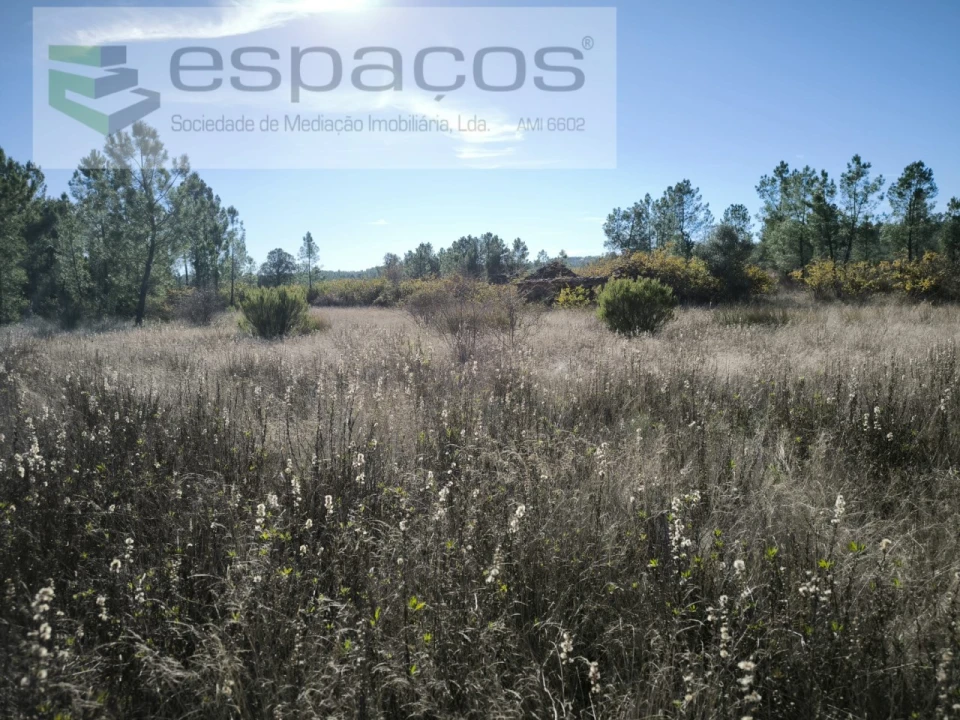 Quinta para Venda em Sarzedas Foto 10