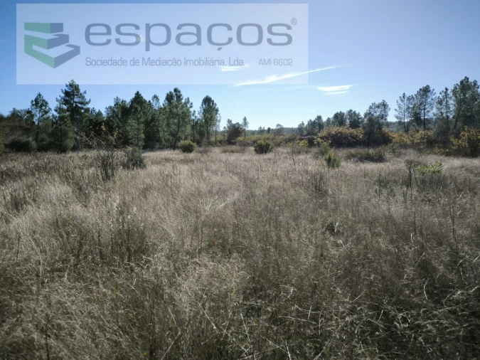 Quinta para Venda em Sarzedas Foto 6