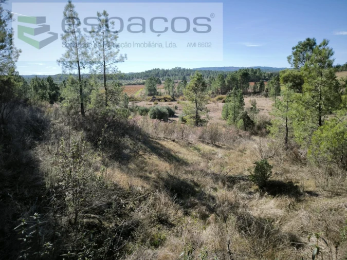 Quinta para Venda em Sarzedas Foto 7