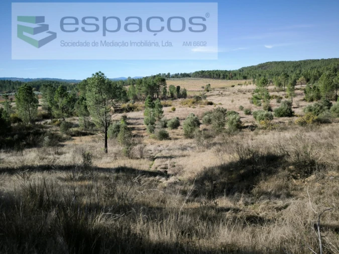 Quinta para Venda em Sarzedas Foto 13