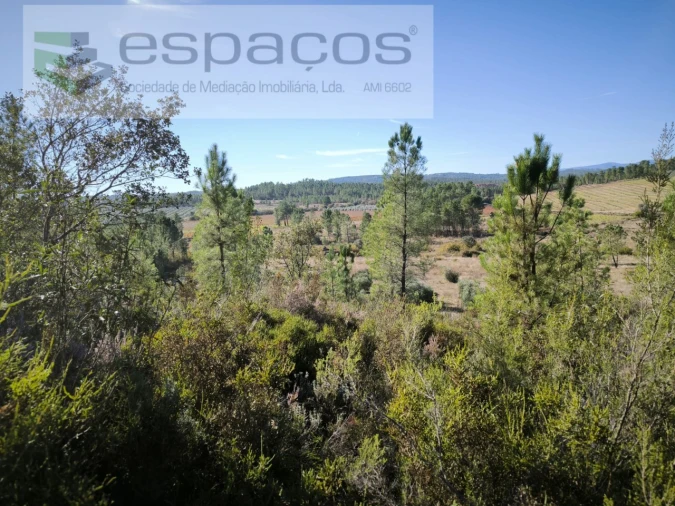 Quinta para Venda em Sarzedas Foto 14