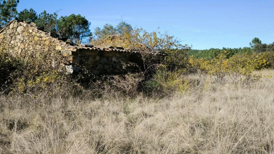 Quinta para Venda em Sarzedas