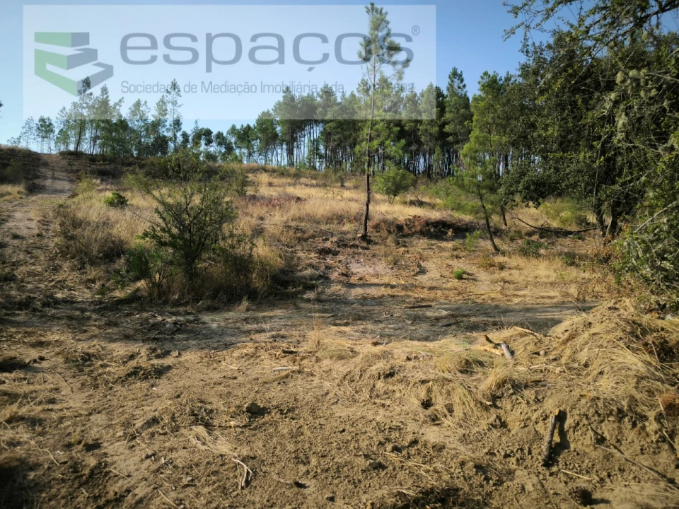 Terreno Agricola ou Rústico para Venda em Sarzedas Foto 3