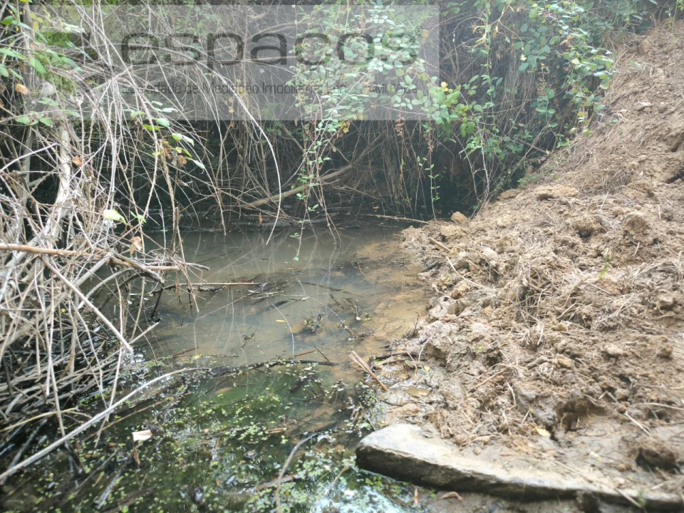 Terreno Agricola ou Rústico para Venda em Sarzedas Foto 4