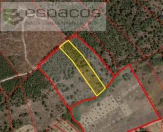 Terreno Agricola ou Rústico para Venda em Sarzedas