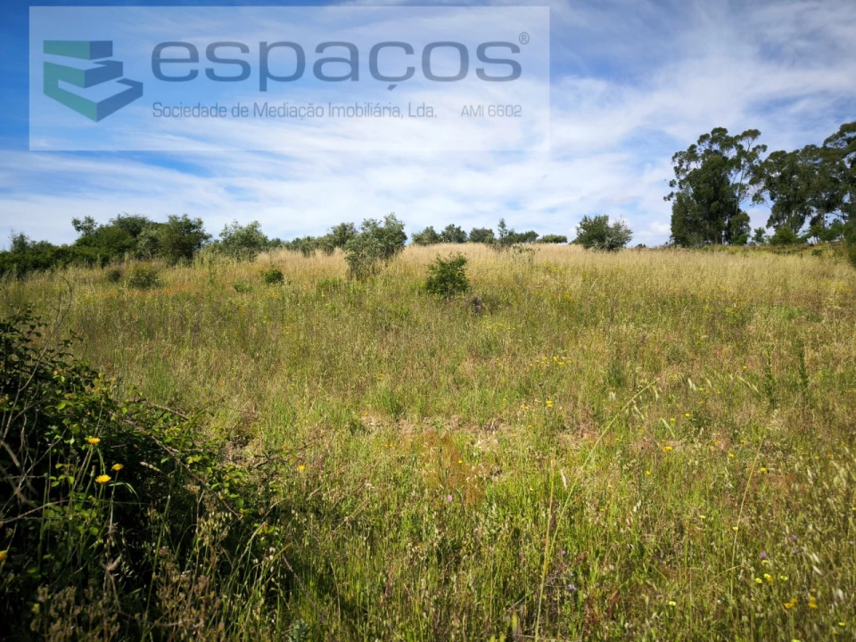 Terreno Agricola ou Rústico para Venda em Castelo Branco Foto 13