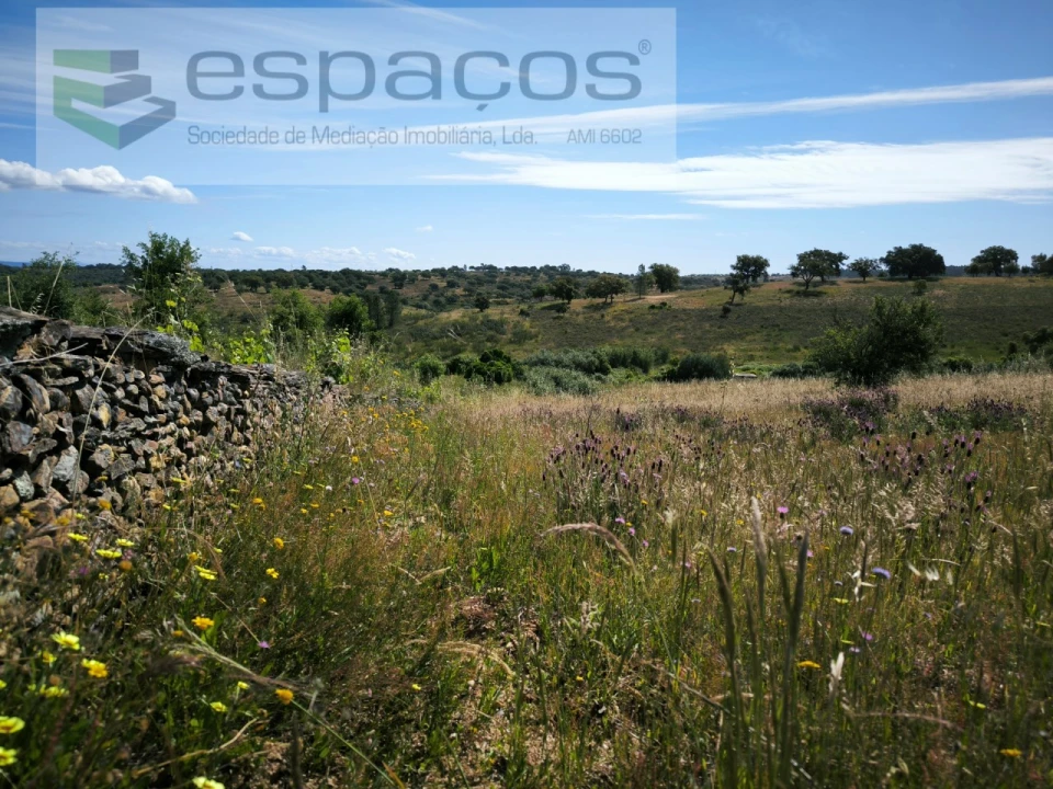 Terreno Agricola ou Rústico para Venda em Castelo Branco Foto 17
