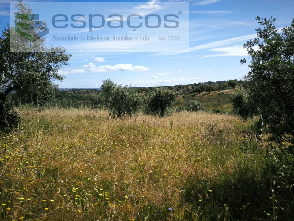 Terreno Agricola ou Rústico para Venda em Castelo Branco Foto 18