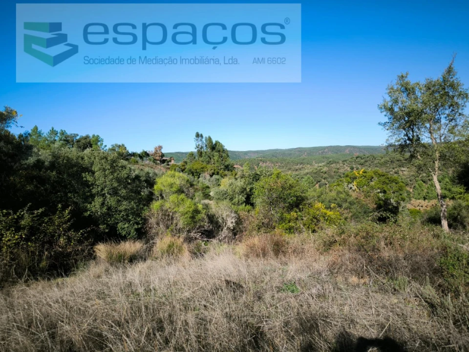 Terreno Agricola ou Rústico para Venda em Castelo Branco Foto 6