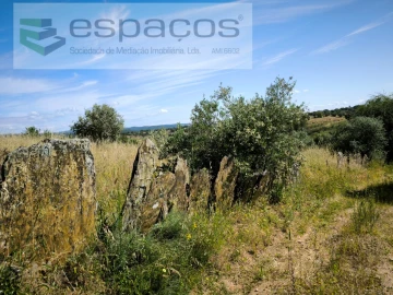 Terreno Agricola ou Rústico para Venda em Castelo Branco