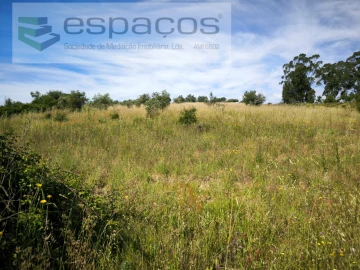 Terreno Agricola ou Rústico para Venda em Castelo Branco