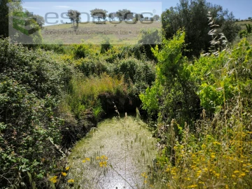 Terreno Agricola ou Rústico para Venda em Castelo Branco
