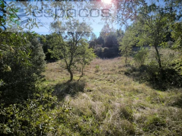 Terreno Agricola ou Rústico para Venda em Castelo Branco