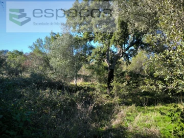 Terreno Agricola ou Rústico para Venda em Castelo Branco